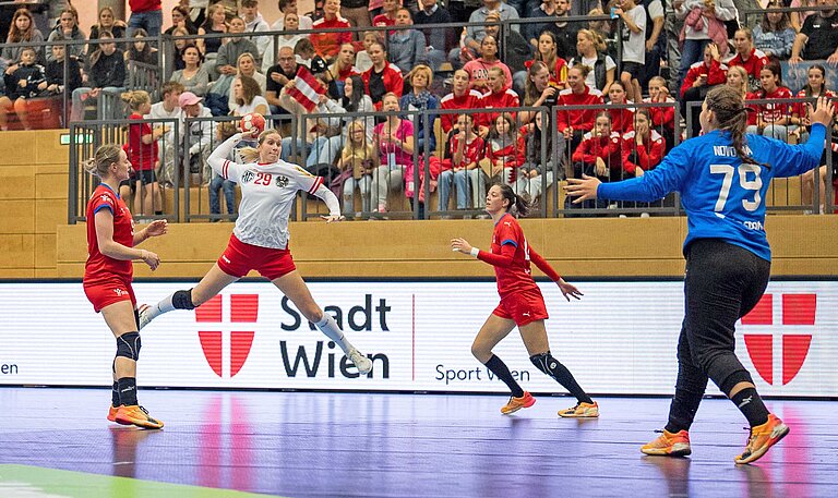 Handball-Profis beim Sport in Wien