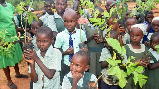 Baumaterial für Gewächshaus Baumaterial für Gewächshaus