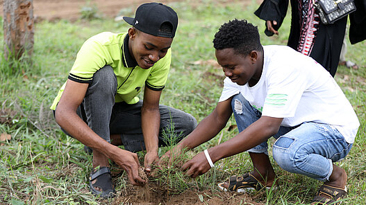 Mit diesem Projekt soll die Aufforstung lokaler Waldgebiete gefördert werden. Mit diesem Projekt soll die Aufforstung lokaler Waldgebiete gefördert werden.
