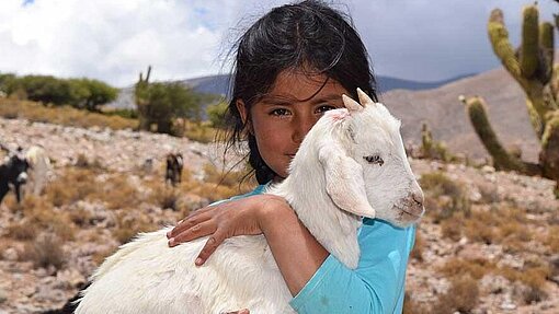 Ziegen für Bolivien Ziegen für Bolivien