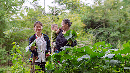 Zwei Frauen und ein Kleinkind stehen inmitten grüner Pflanzen. Die Frauen lächeln und halten große Blätter in der Hand. Im Hintergrund ist dichte Vegetation und Wald zu sehen.