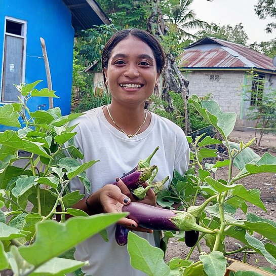 Anita erntet Auberginen in ihrem Gemüsegarten 