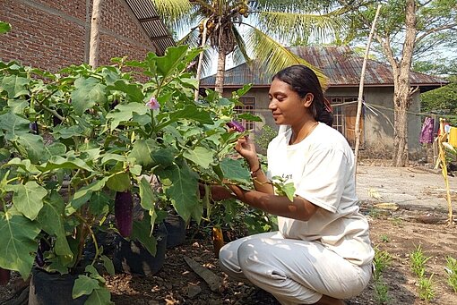 Anita erntet Auberginen in ihrem Gemüsegarten