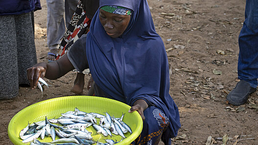 Fischzucht in Sambia