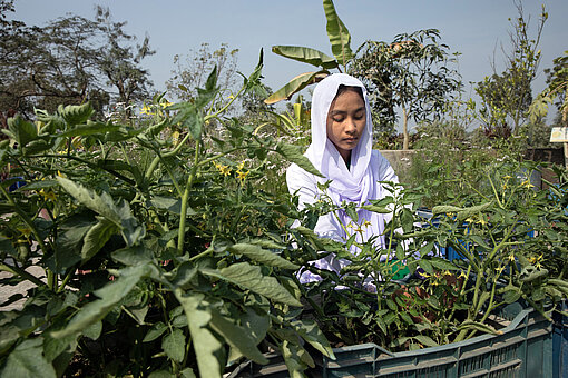 Ein Mädchen in Schuluniform und weißem Kopftuch kniet vor einem Planzenkübel und prüft die Pflanzen