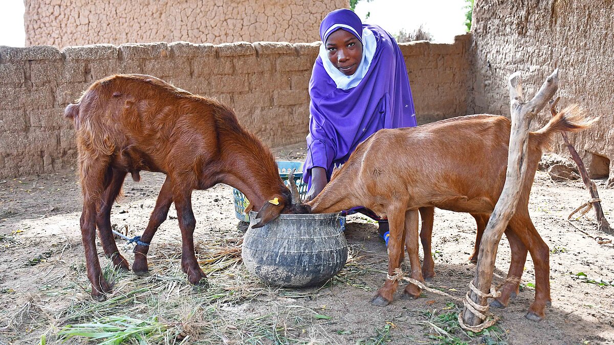 niger-hunger-im-transitland-plan-sterreich