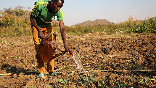 Futterproduktion in Sambia